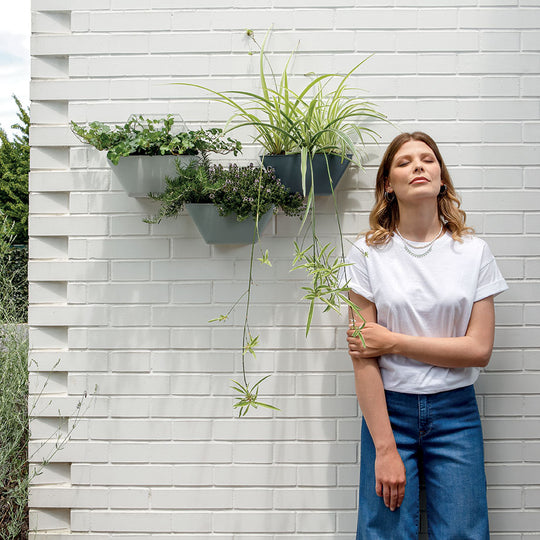 Immagine plus aziendale