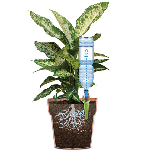 Aquaflora Holiday Gf Garden Aquaflora Holiday Gf Garden