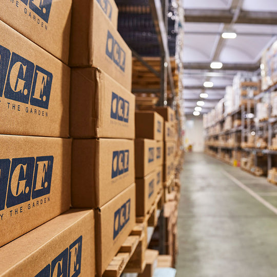 Immagine plus aziendale