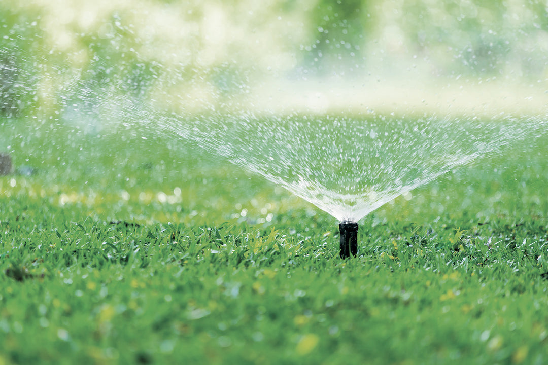 Sprinkler Rise Up Pop-up sprinkler rise 10 cm | Gf Garden
